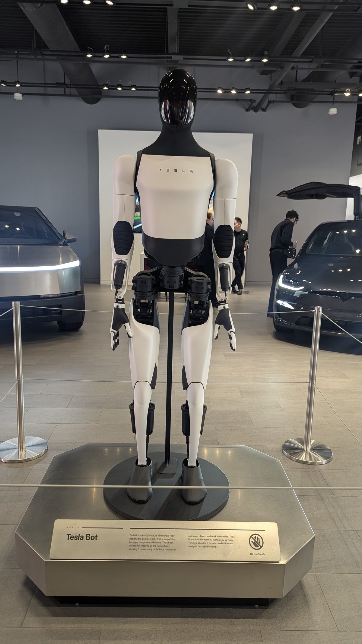 Tesla's humanoid robot Optimus on display in a showroom